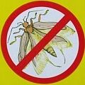 Инсектицидные средства	 Средство от моли