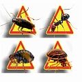 Инсектицидные средства	 Средство от ползающих (тараканов и муравьев)